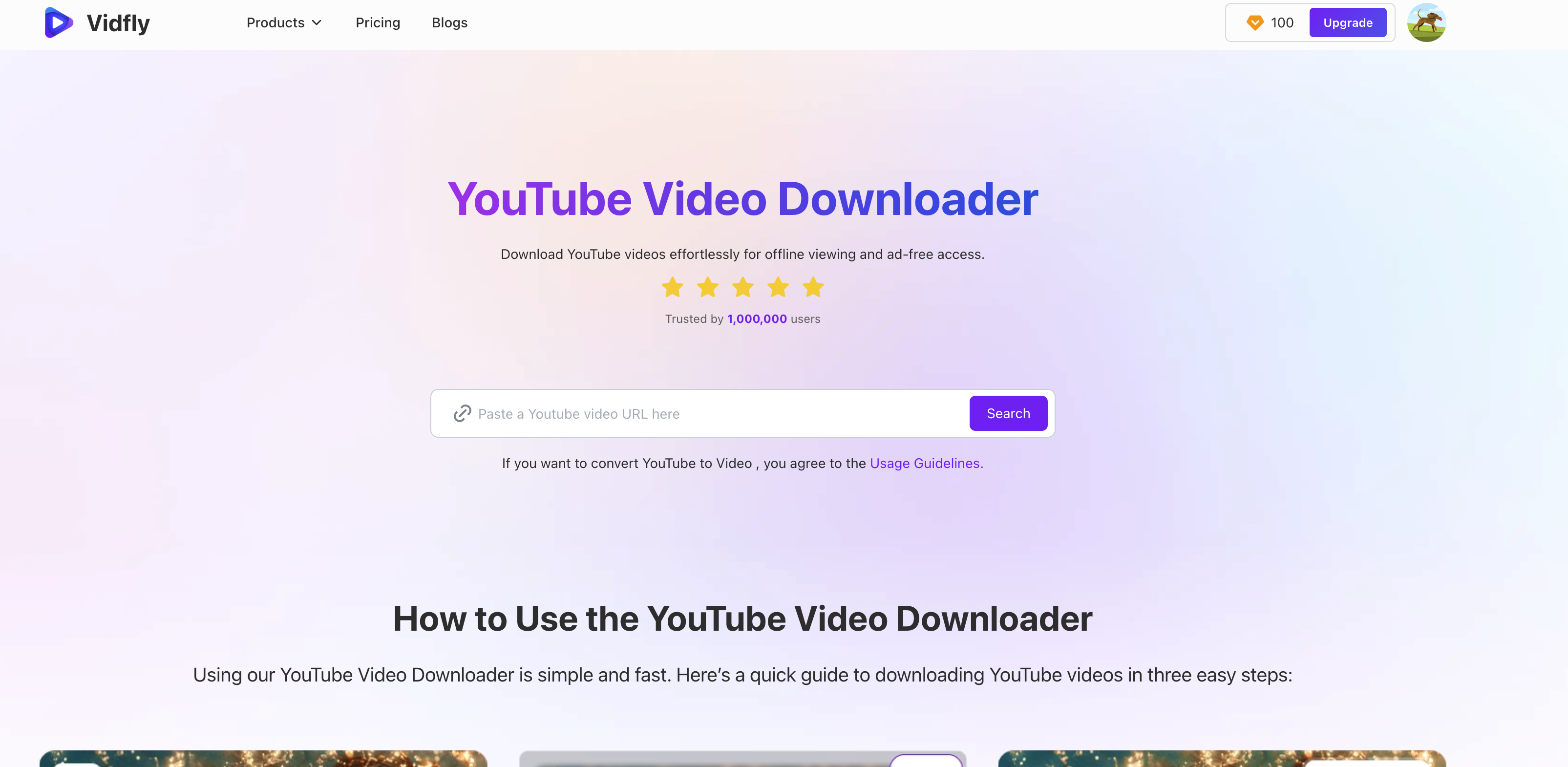 YouTube Video Downloader